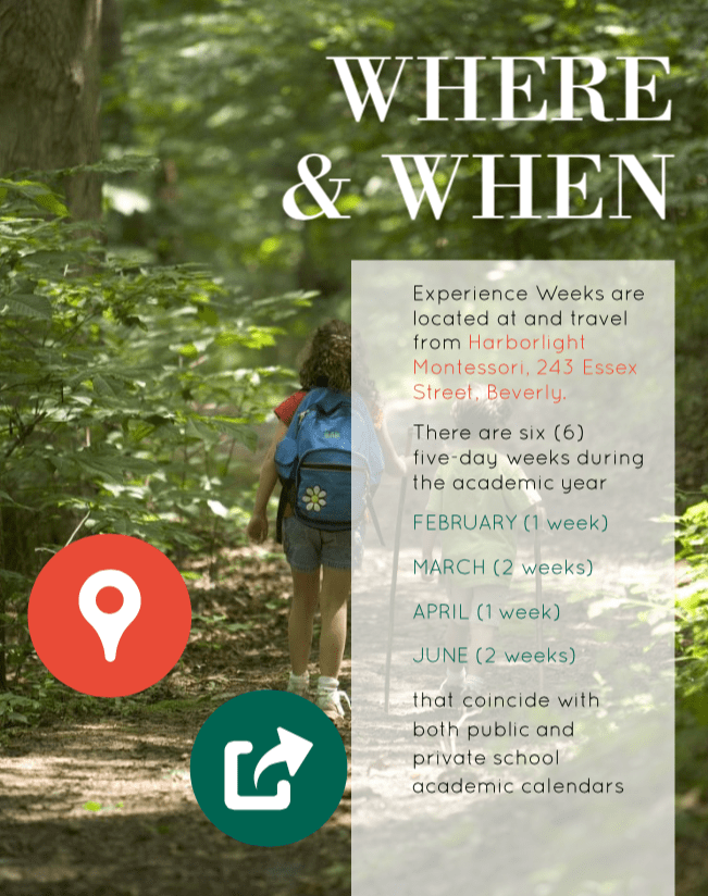 Screen Shot 2018-09-12 at 12.27.35 PM