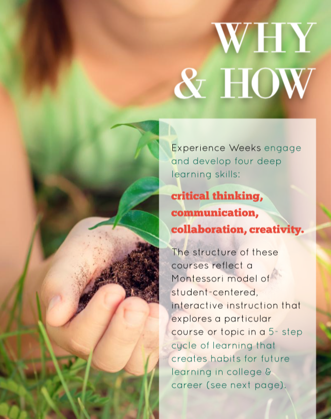 Screen Shot 2018-09-12 at 12.27.50 PM