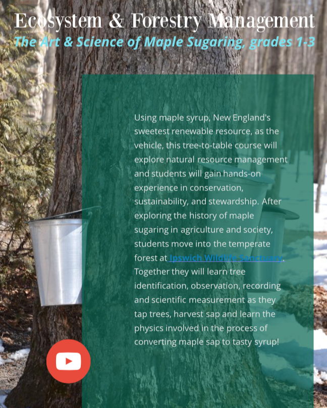 Screen Shot 2018-09-12 at 12.28.23 PM