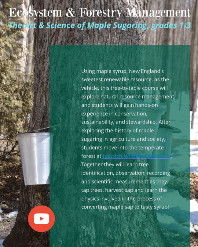 Screen Shot 2018-09-12 at 12.28.23 PM