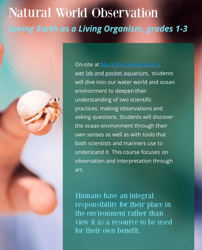 Screen Shot 2018-09-12 at 12.28.44 PM