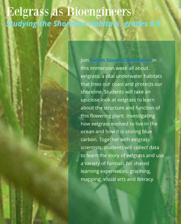 Screen Shot 2018-09-12 at 12.30.04 PM