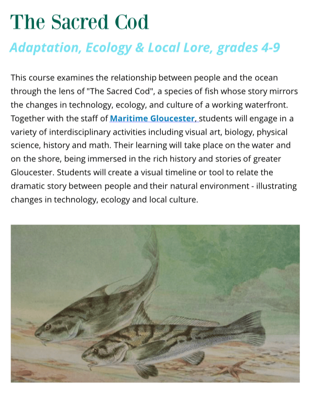 Screen Shot 2018-09-12 at 12.30.13 PM