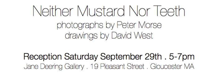 Screen Shot 2018-09-21 at 8.46.21 PM.png