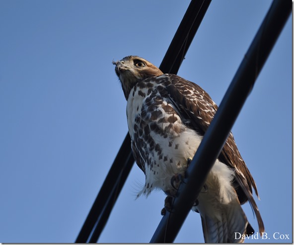 2018 9 1 Schooner Fest #1 Friday 008