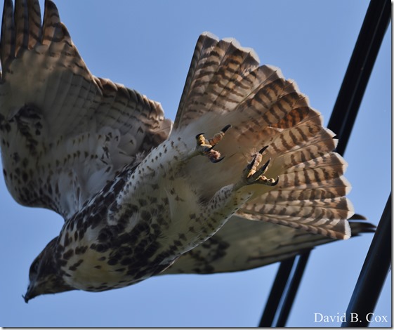 2018 9 1 Schooner Fest #1 Friday 009