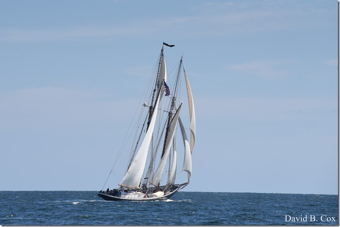 2018 9 1 Schooner Fest #1 Friday 238