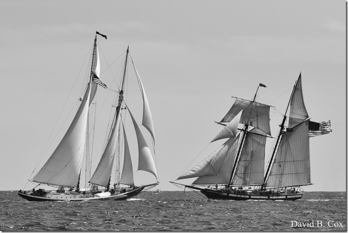 2018 9 1 Schooner Fest #1 Friday 242