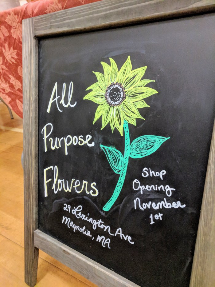 All Purpose Flowers coming to Magnolia November 1_20181012_©Catherine Ryan (2)