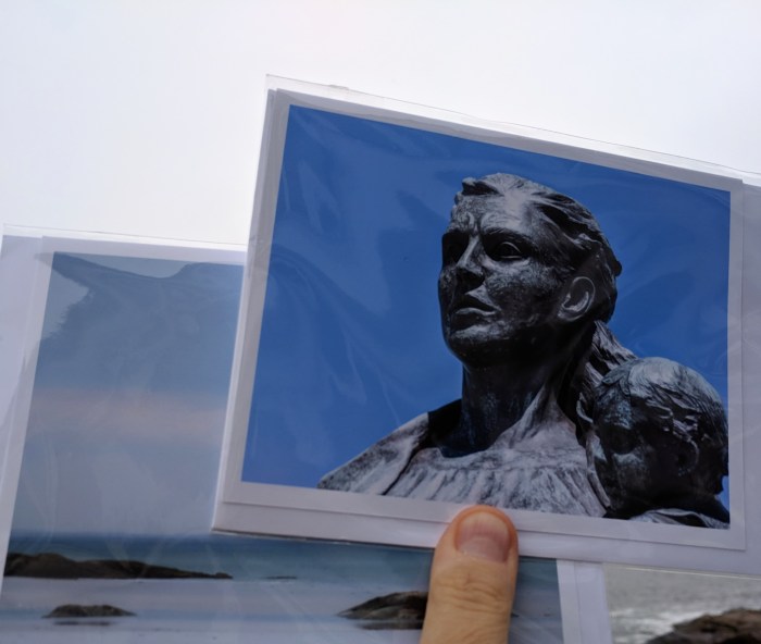 DONNA ARDIZZONI photography_original photographs and gift cards_ booth at Magnolia sip n stroll October 2018 fair _20181012_© Catherine Ryan (2)