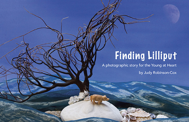 Finding_Lilliput-cover-web.jpg