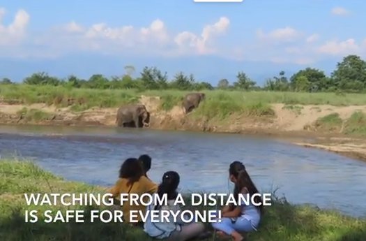Nepal elephant preserve still from video.jpg