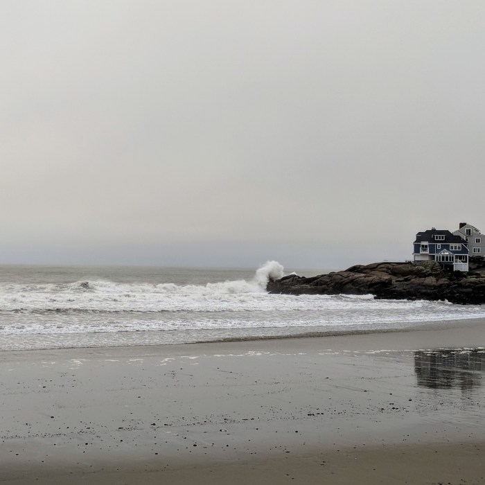 Sunday holy rollers_Long Beach Gloucester Rockport MA_20181028_©c ryan (3)