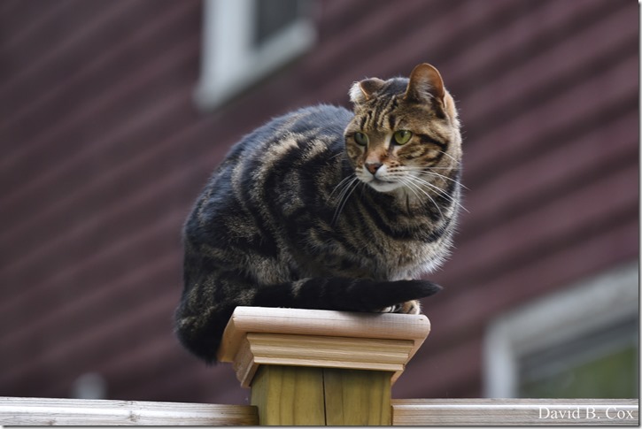 2018 10 12 Newton & Walks 018