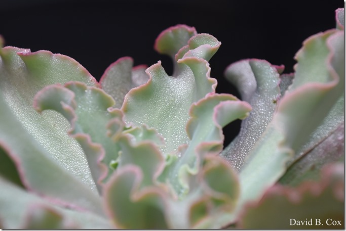 2018 10 12 Newton & Walks 070