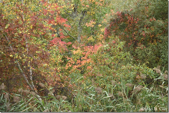 2018 10 13 GHS FB vs Marblehead 083