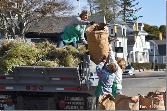 2018 10 31Walks & Halloween #2 018