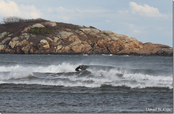 2018 11 12 GH Beach & Walks 010