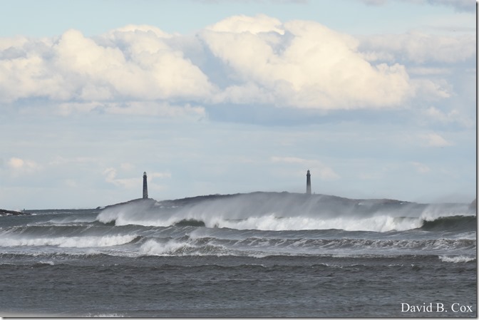 2018 11 12 GH Beach & Walks 017