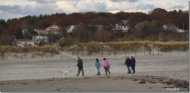 2018 11 12 GH Beach & Walks 022