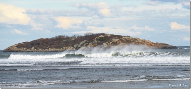 2018 11 12 GH Beach & Walks 033