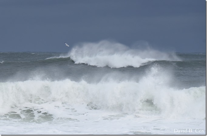 2018 11 16 #2 Backshore Surf 027