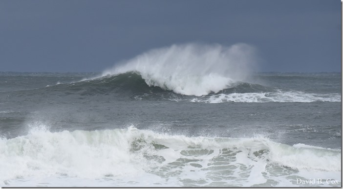 2018 11 16 #2 Backshore Surf 029