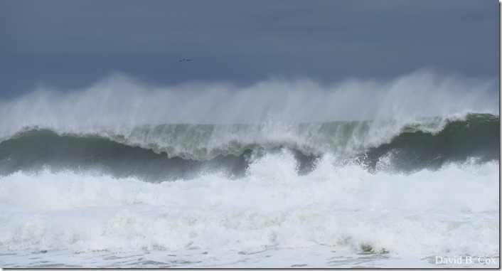 2018 11 16 #2 Backshore Surf 033