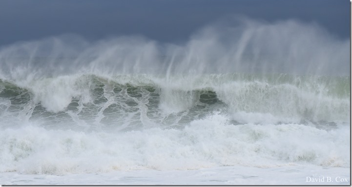 2018 11 16 #2 Backshore Surf 056