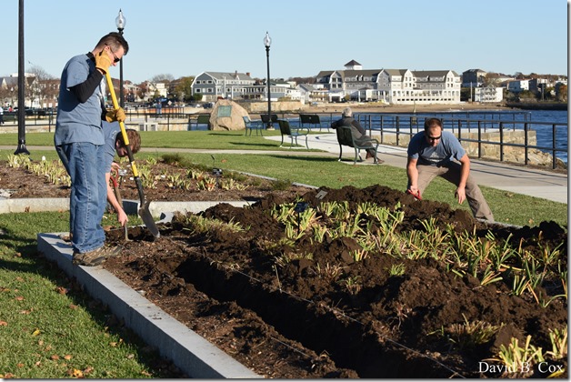 2018 11 7 Gen Gardeners Replanting Tulips 042