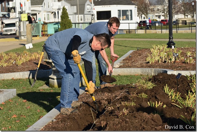 2018 11 7 Gen Gardeners Replanting Tulips 045