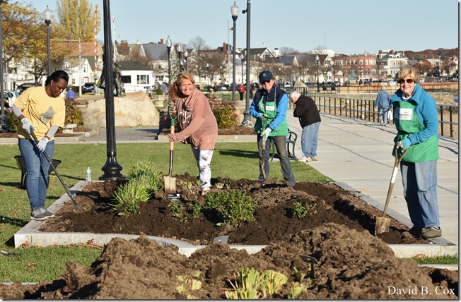 2018 11 7 Gen Gardeners Replanting Tulips 061