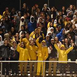 View album View album