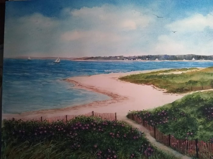 crane's beach (2).jpg