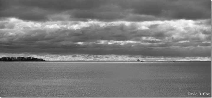 2018 12 2 Walks Blvd & Dog Town Bks 014 (2)