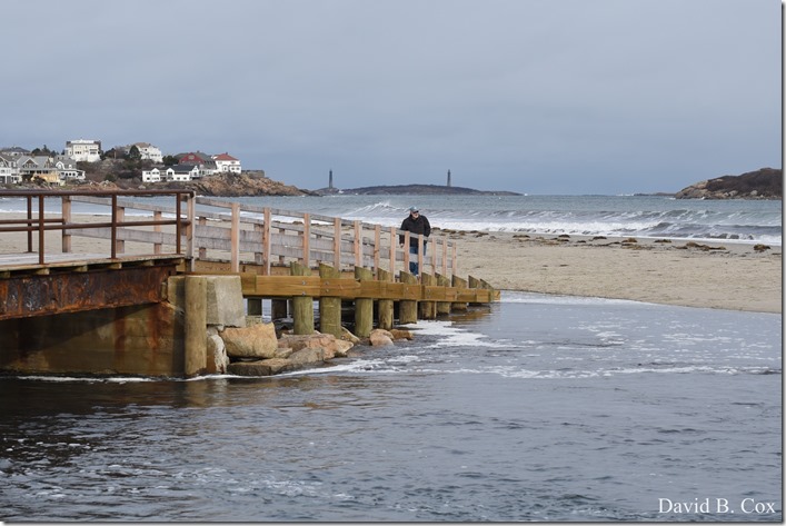 2018 12 2 Walks Blvd & Dog Town Bks 032