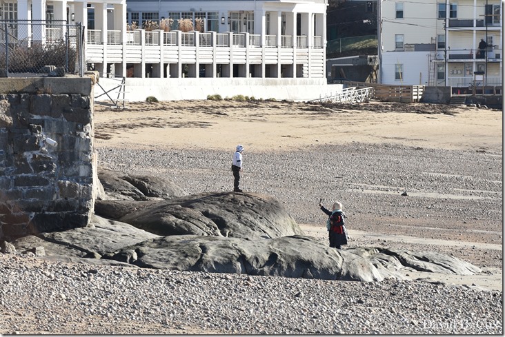 2018 12 2 Walks Blvd & Dog Town Bks 041