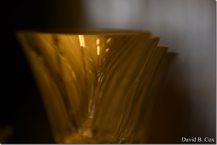 2018 12 2 Walks Blvd & Dog Town Bks 048