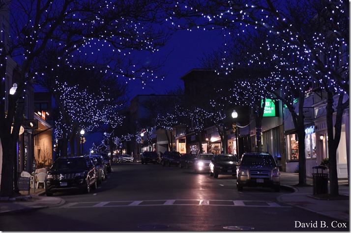 2018 12 2 Walks Blvd & Dog Town Bks 055