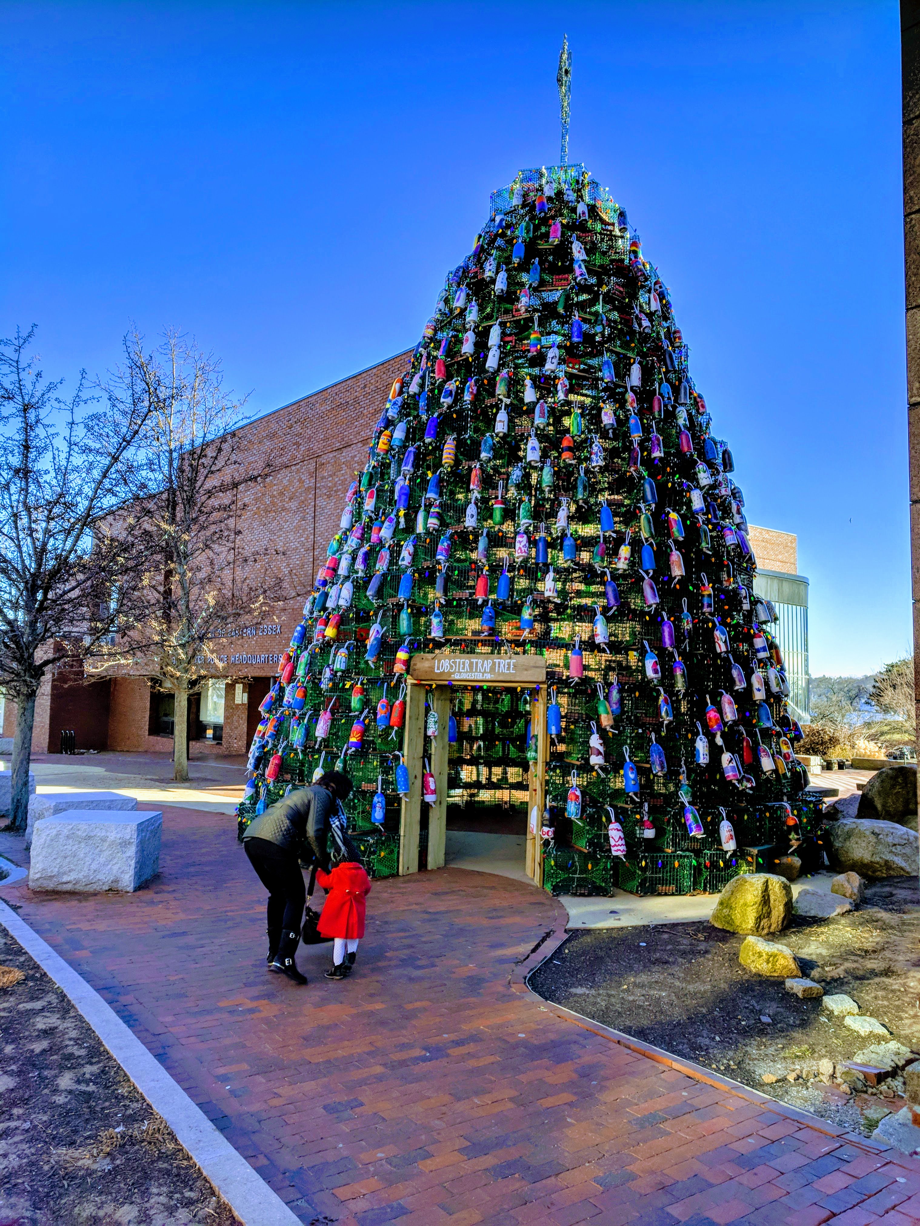 Gloucester MA lobster trap buoy tree_20181211_121140© c ryan