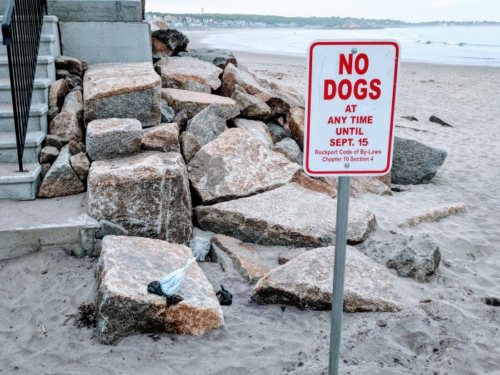 dog poop plastic bag litter_June_summer_20180601_©c ryan
