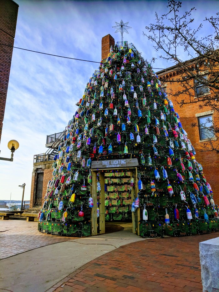 Gather round_lobster trap buoy tree morning light_Gloucester MA_vista to inner harbor from Main St_ 20181209_©c ryan