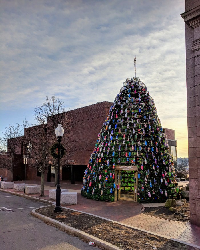 gather round_one Sunday morning lobster trap tree_Gloucester MA_ looking east end of Main Street downtown_20181209©c ryan