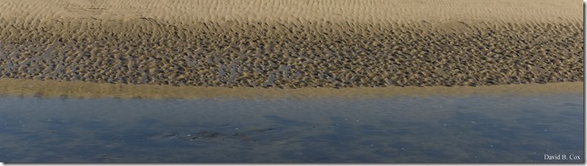 2018 12 29 Xmas B Port & GMG Party 002