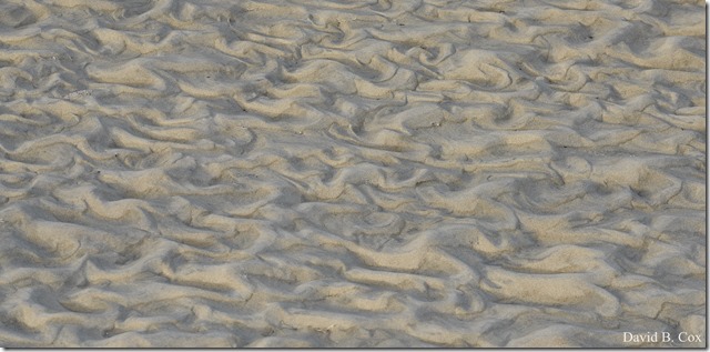 2018 12 29 Xmas B Port & GMG Party 080