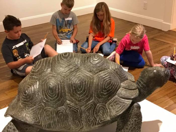 20637840_870098083137596_5107870158399508519_n