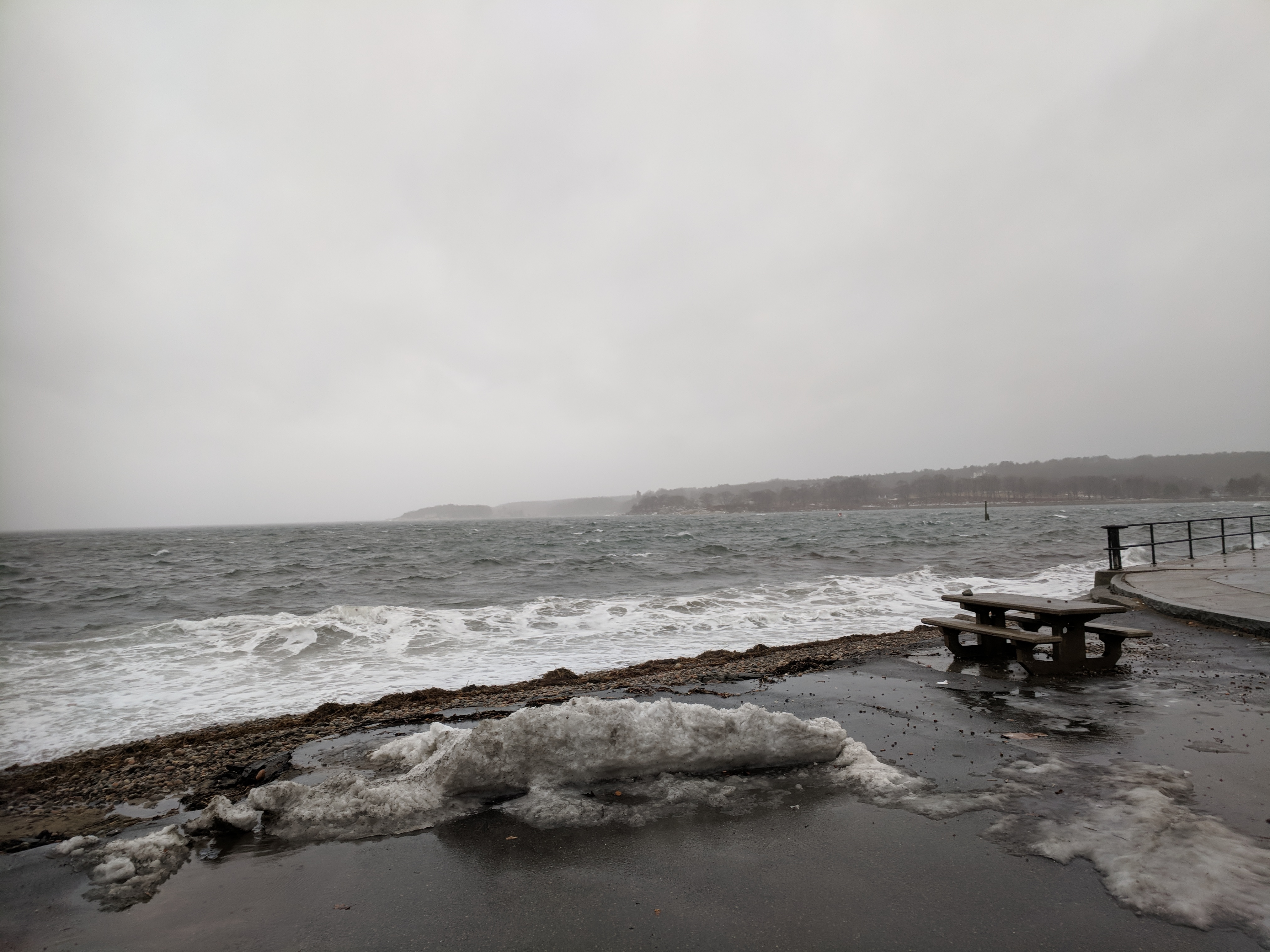 choppy harbor_20190124_© c ryan