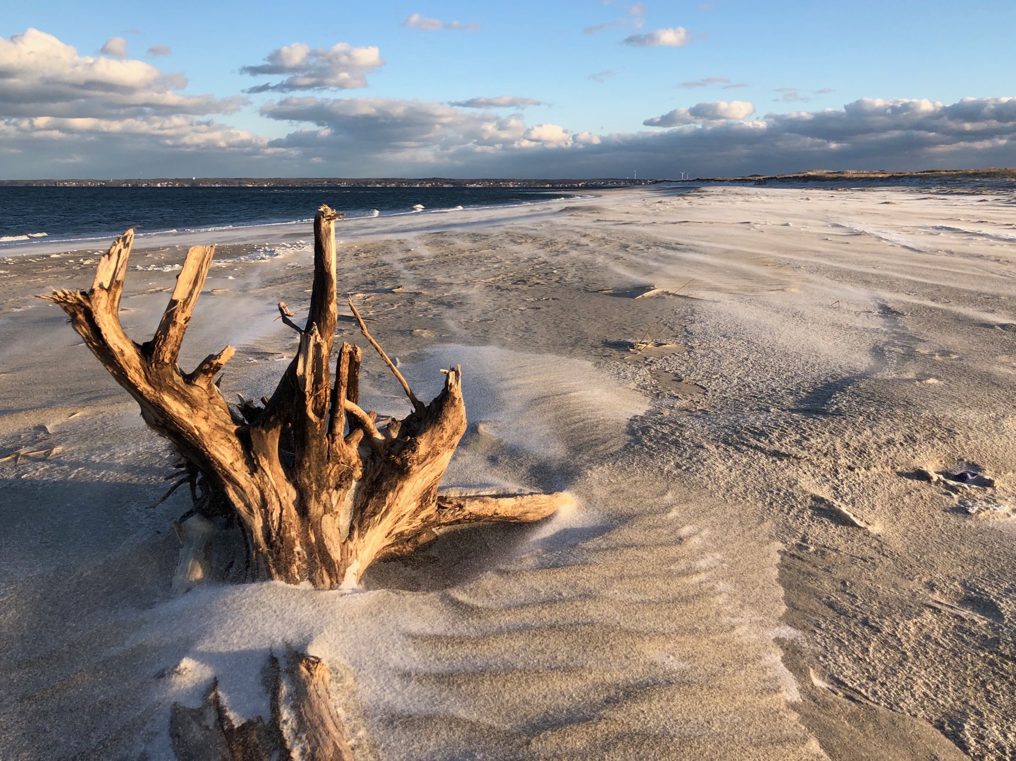 courtesy photo for cape ann museum_0448 © t. barrieau the trustees