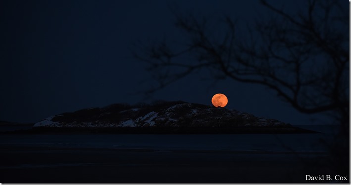 2019 02 19 Super Moon 010