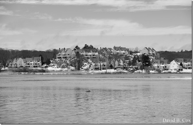 2019 02 21 Super High Tide @ G.H. & Back Shore 004